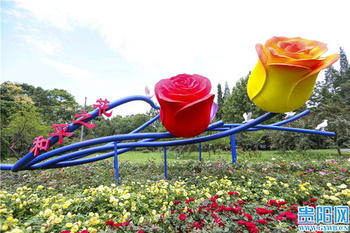 花溪公园精品月季展 献礼建党百年华章